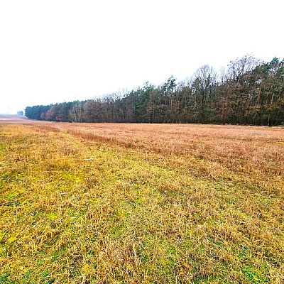 SPRZEDAŻ na DZIAŁKA w Żarowo