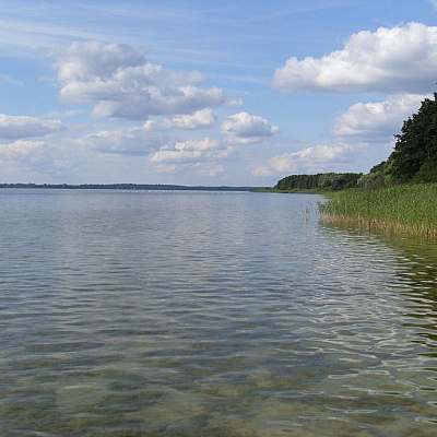 SPRZEDAŻ na DZIAŁKA w Jęczydół