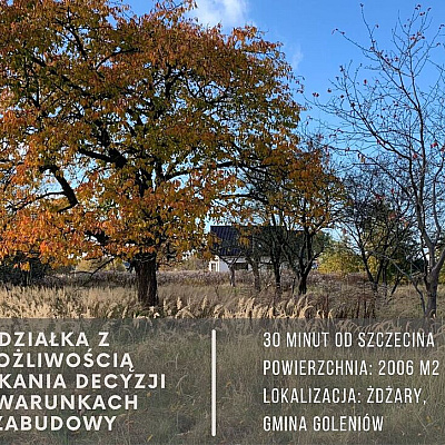 DZIAŁKA na SPRZEDAŻ