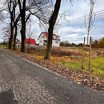 DZIAŁKA na SPRZEDAŻ