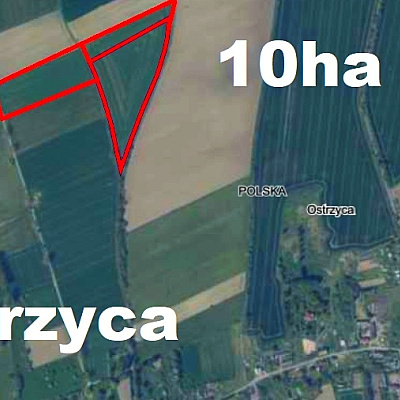 DZIAŁKA na SPRZEDAŻ