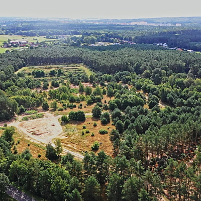 DZIAŁKA na SPRZEDAŻ